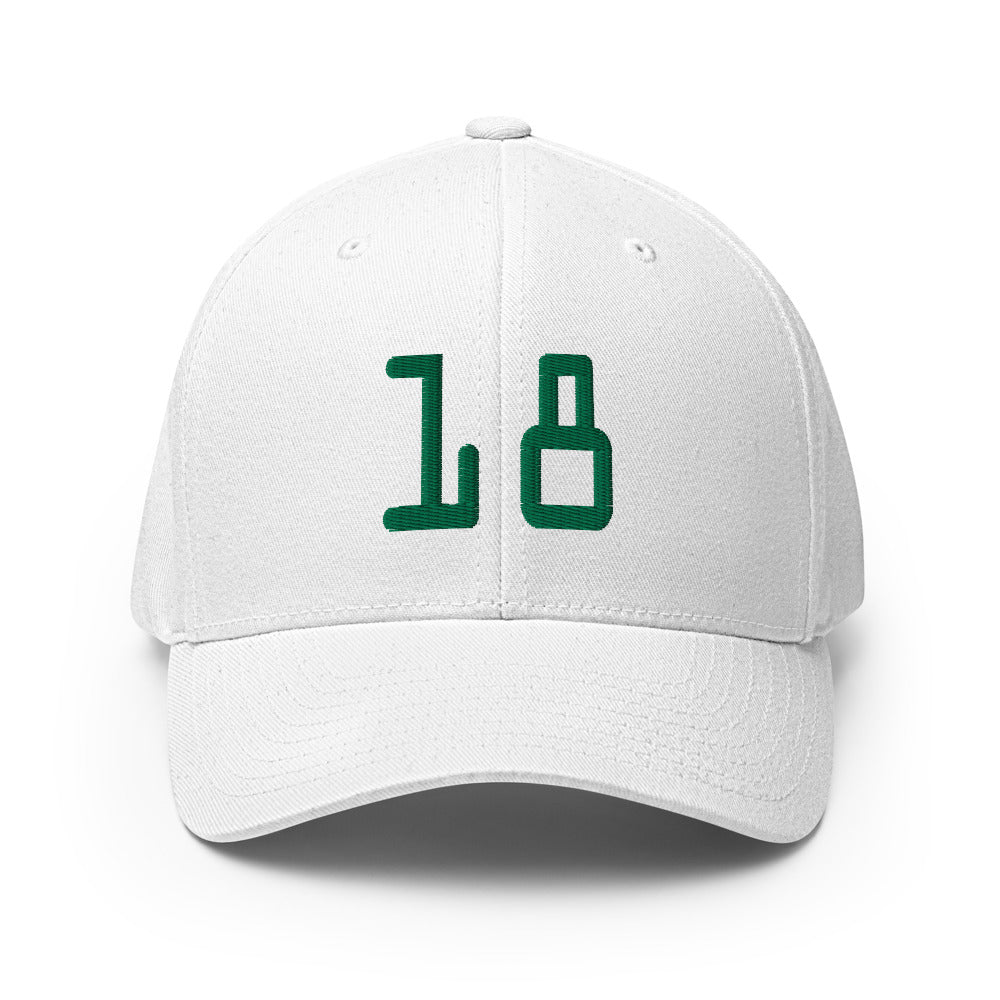 18 Logo - Flexfit Pro cap