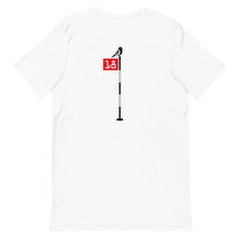 Load image into Gallery viewer, FLAGSTICK t-shirt
