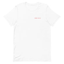 Load image into Gallery viewer, FLAGSTICK t-shirt
